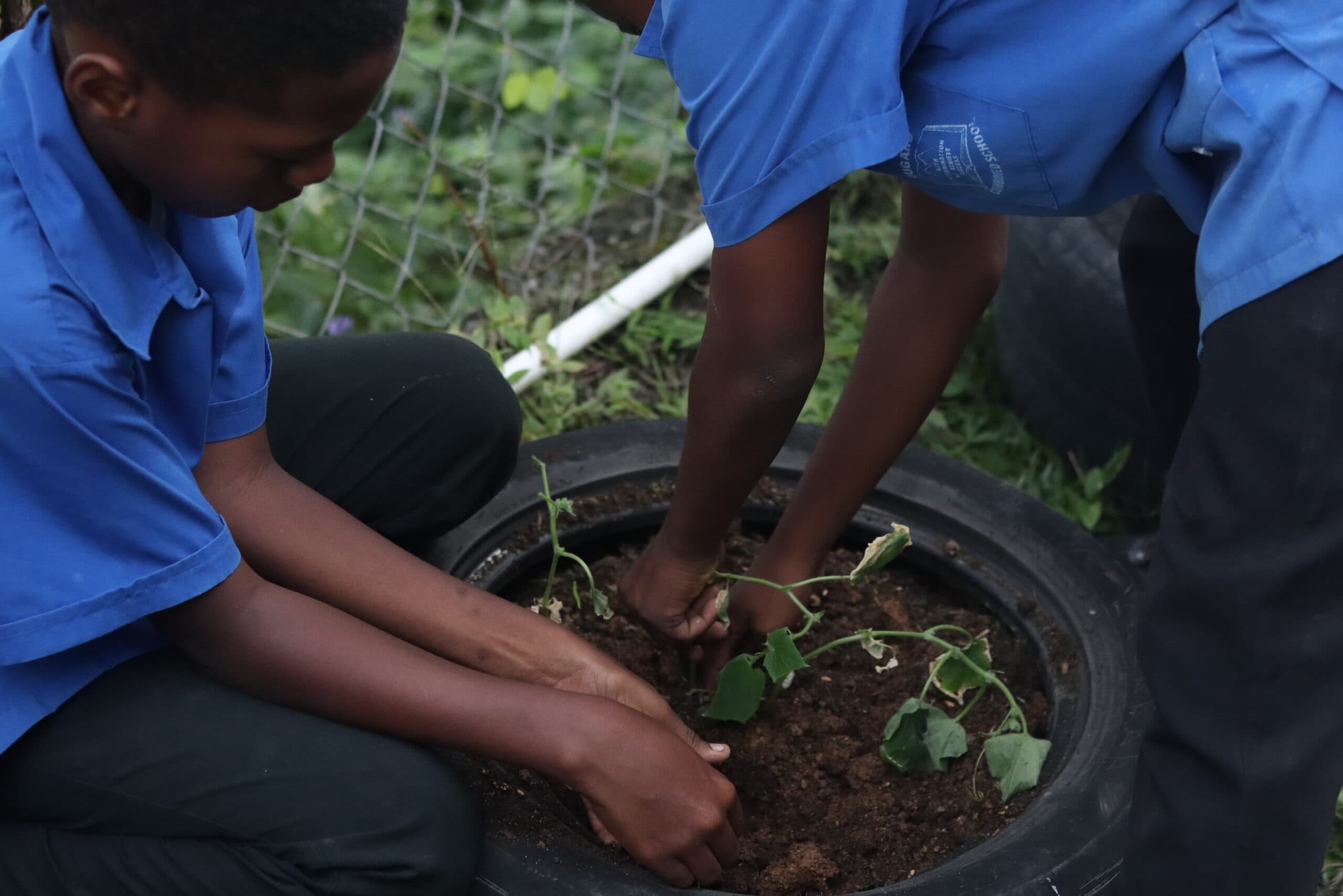 Regal Farms project with local schools