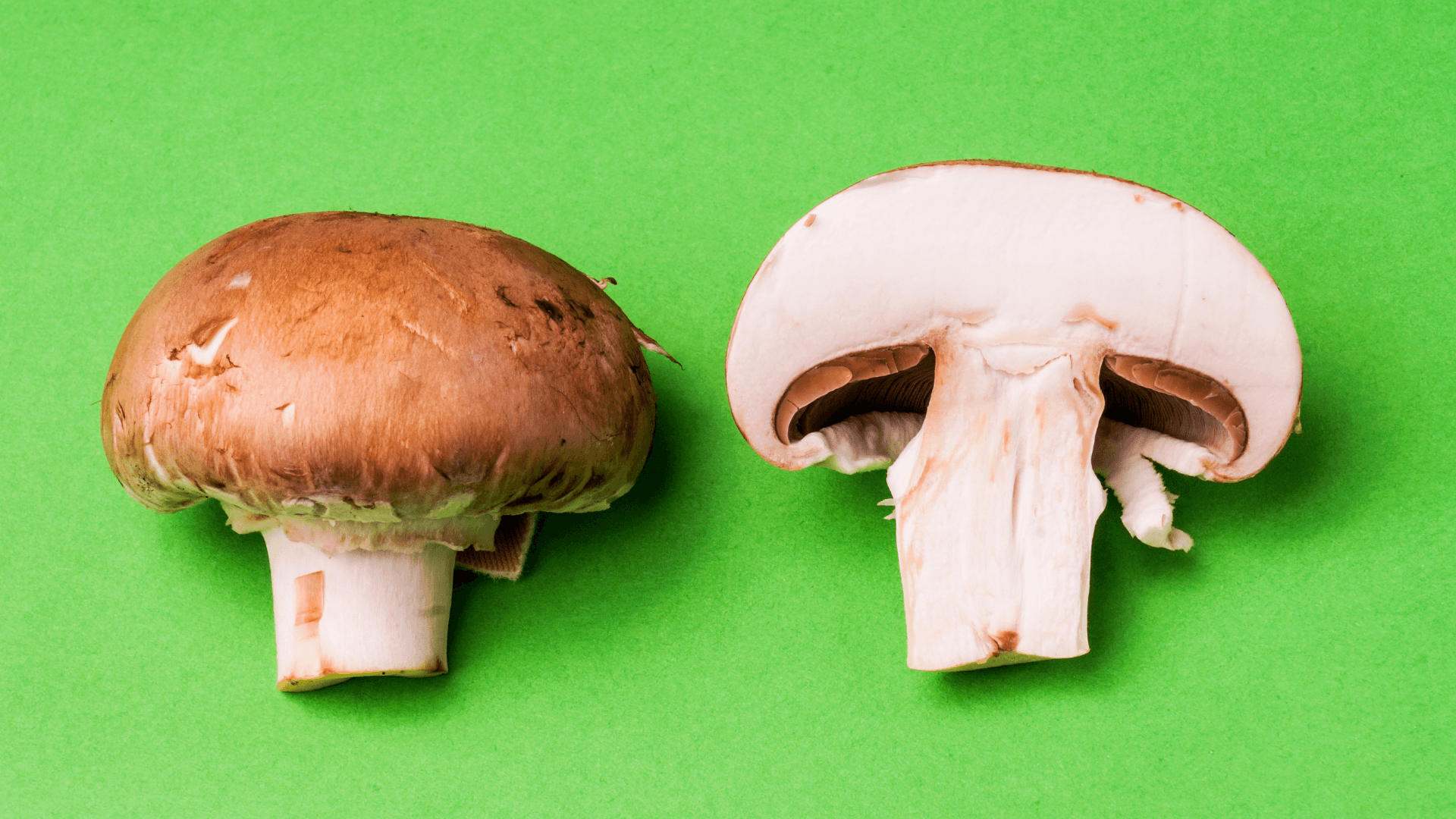 Fresh brown mushrooms