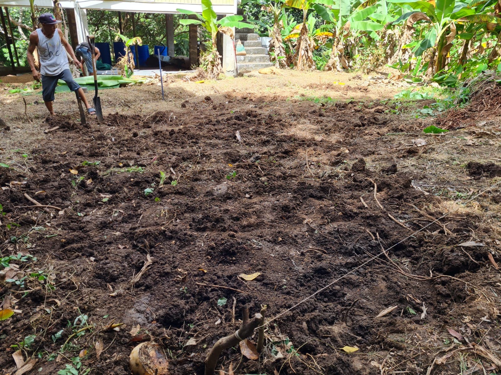 Preparing a new growing bed